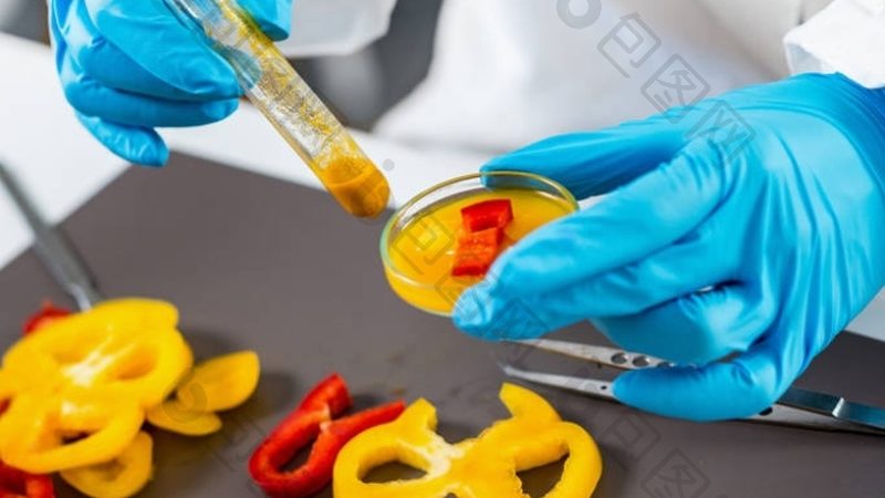 上海餐饮供应链公司代理政策：合规与机遇并存**